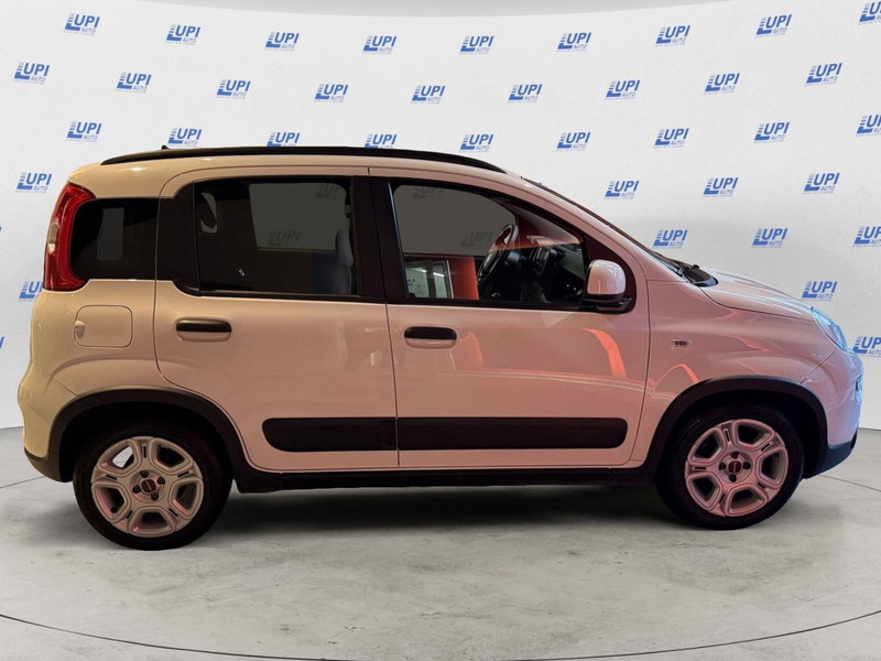 Fiat Panda usata a Pistoia (4)
