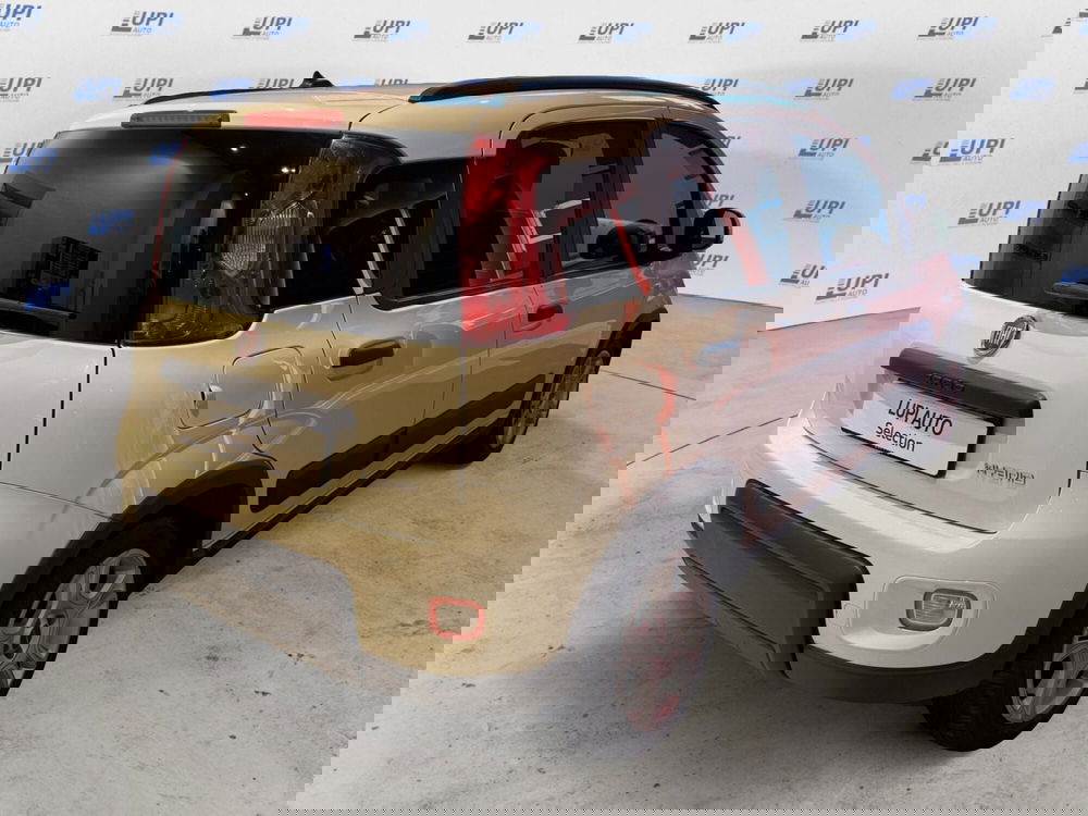 Fiat Panda usata a Pistoia (5)