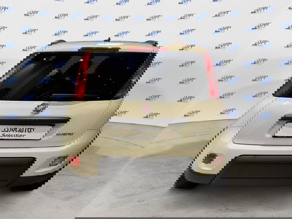 Fiat Panda usata a Pistoia (6)