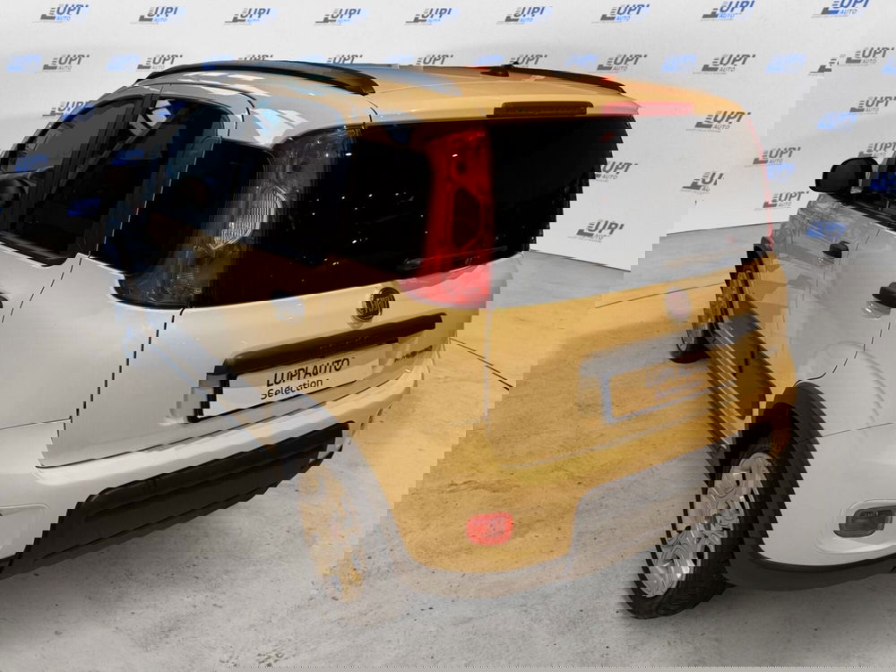 Fiat Panda usata a Pistoia (7)