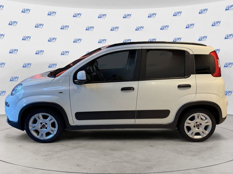 Fiat Panda usata a Pistoia (8)