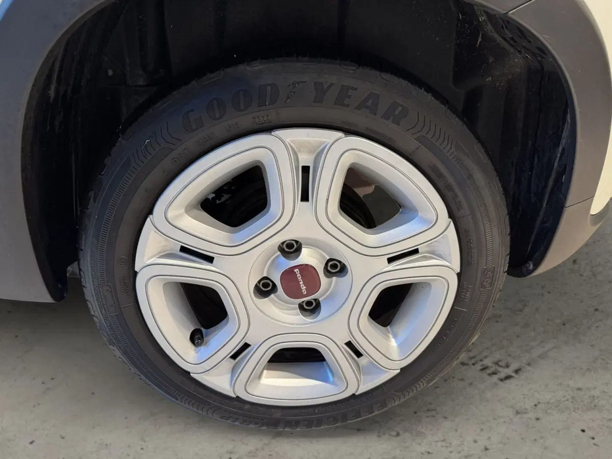 Fiat Panda usata a Pistoia (9)