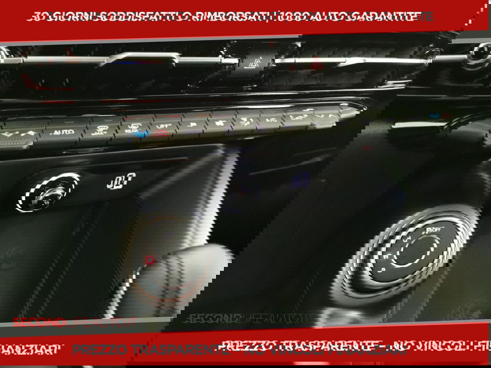 Alfa Romeo Tonale usata a Chieti (15)