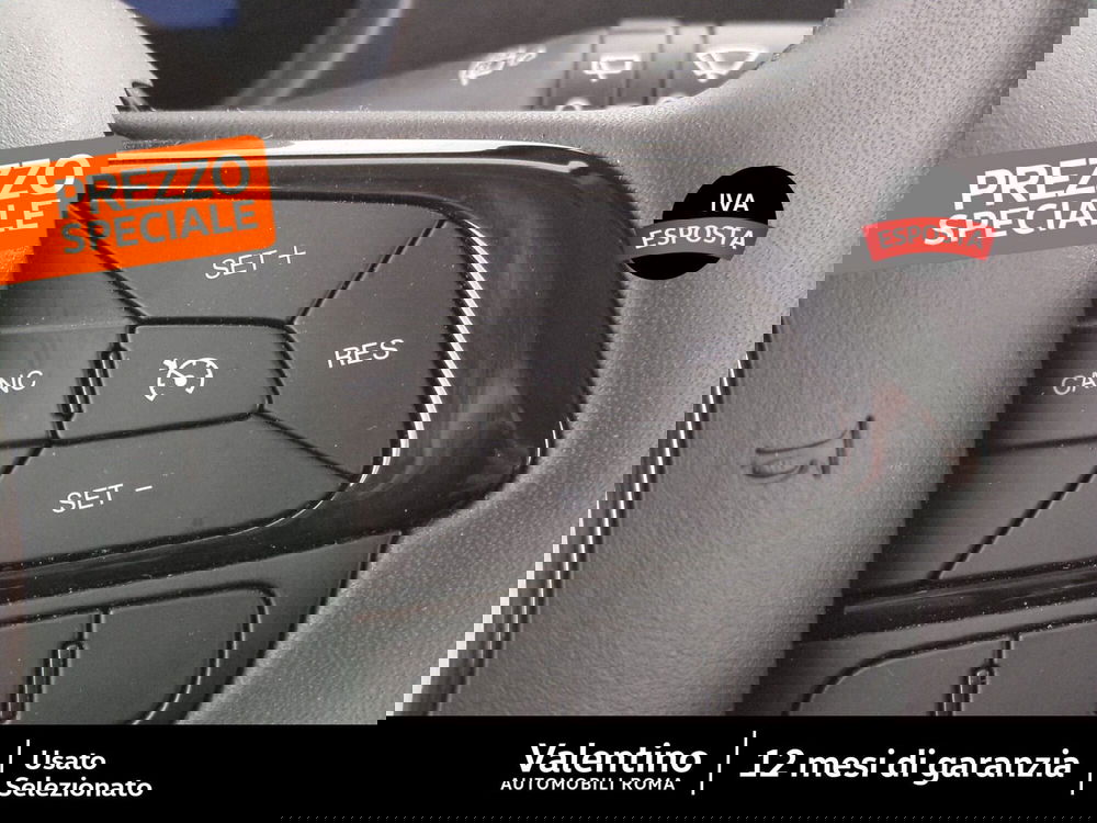 Fiat Panda Cross usata a Roma (15)