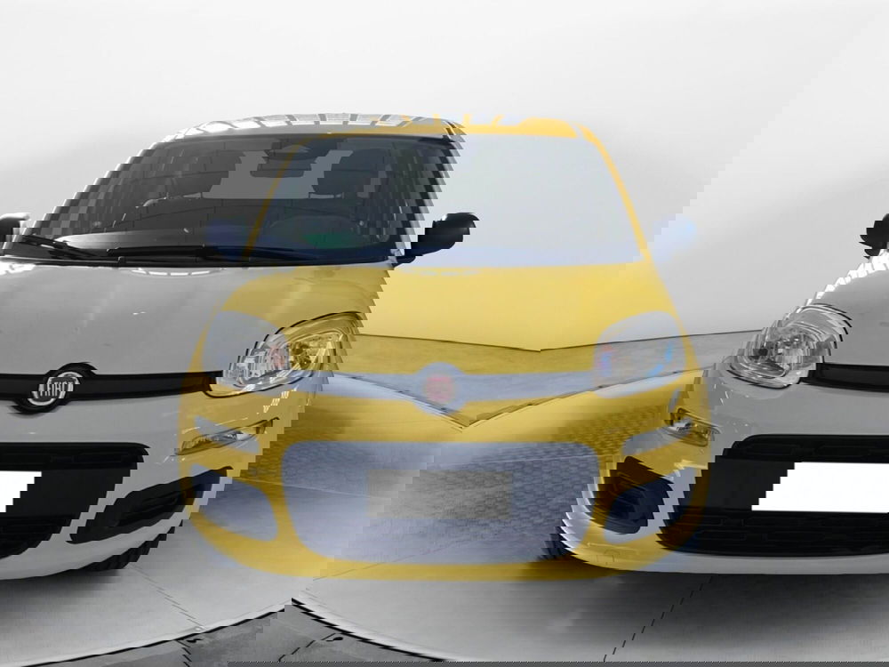 Fiat Pandina nuova a Pisa (2)