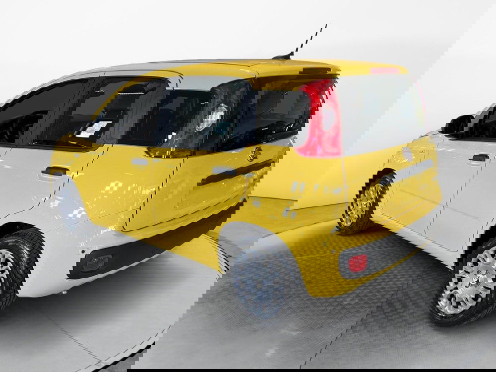 Fiat Pandina nuova a Pisa (6)