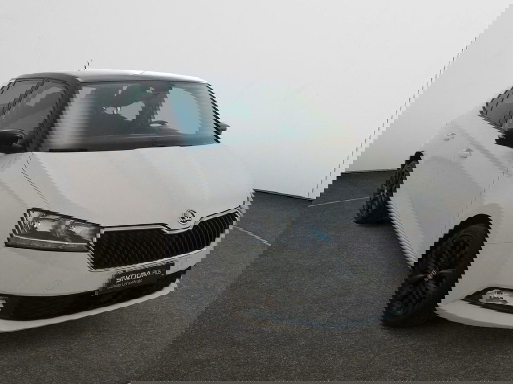 Skoda Fabia usata a Torino