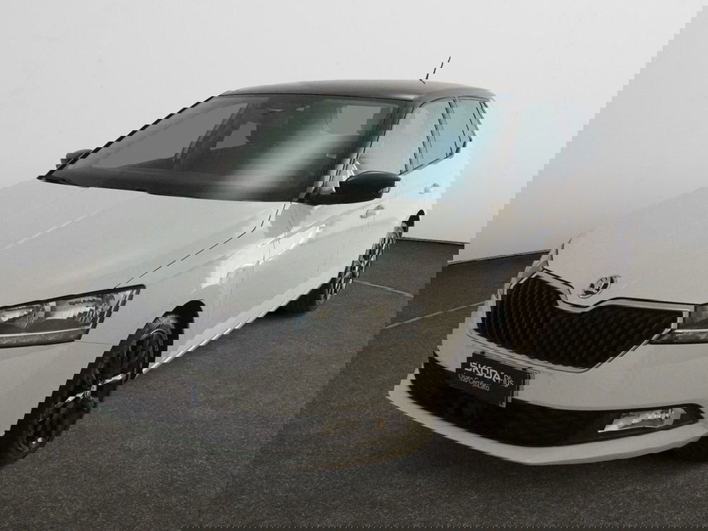 Skoda Fabia usata a Torino (3)