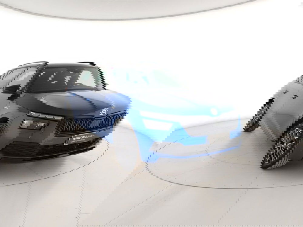 Skoda Kamiq usata a Massa-Carrara (4)