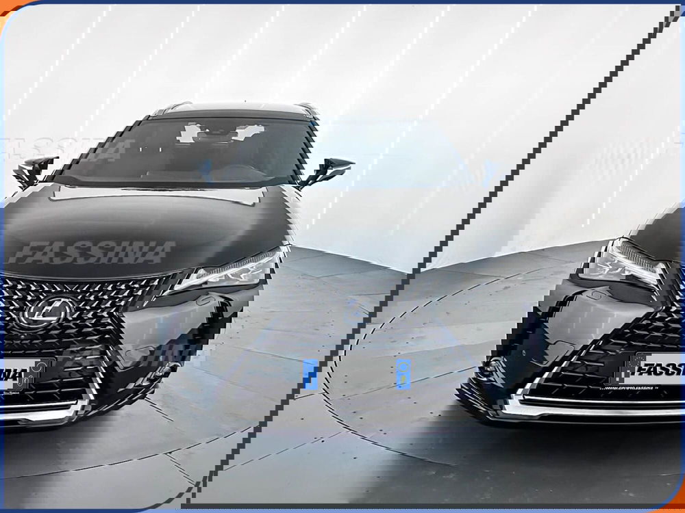 Lexus UX usata a Milano (2)