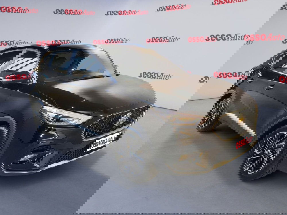 Mg ZS usata a Udine (2)