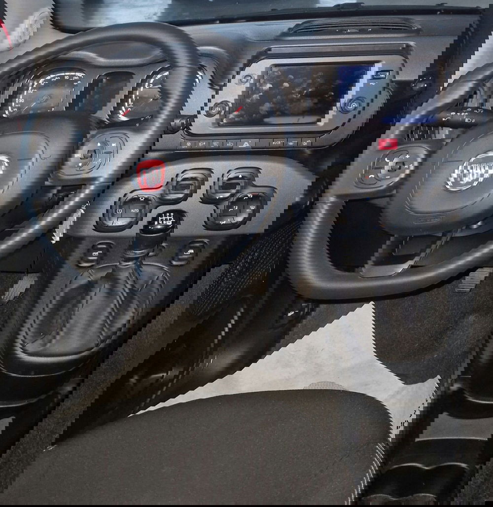 Fiat Panda Cross usata a Terni (11)