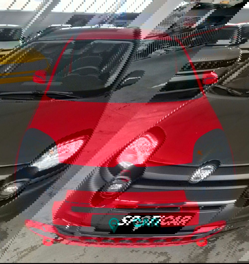 Fiat Panda Cross usata a Terni (2)