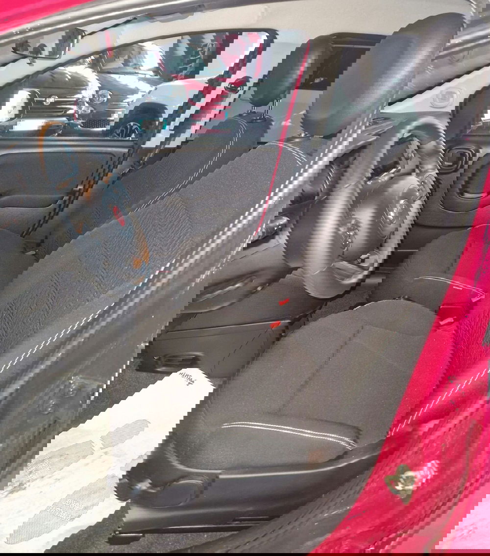 Fiat Panda Cross usata a Terni (7)