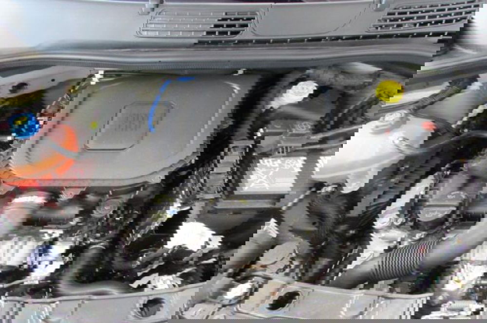 Fiat Panda nuova a Milano (16)