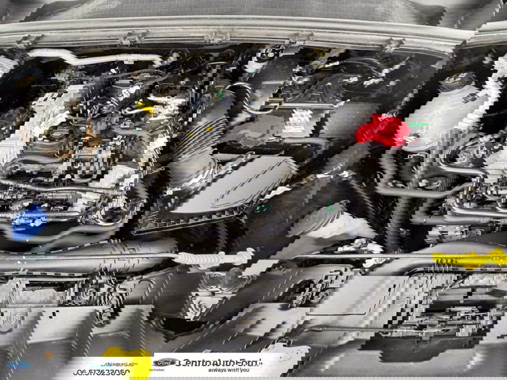 Ford Puma usata a Roma (12)