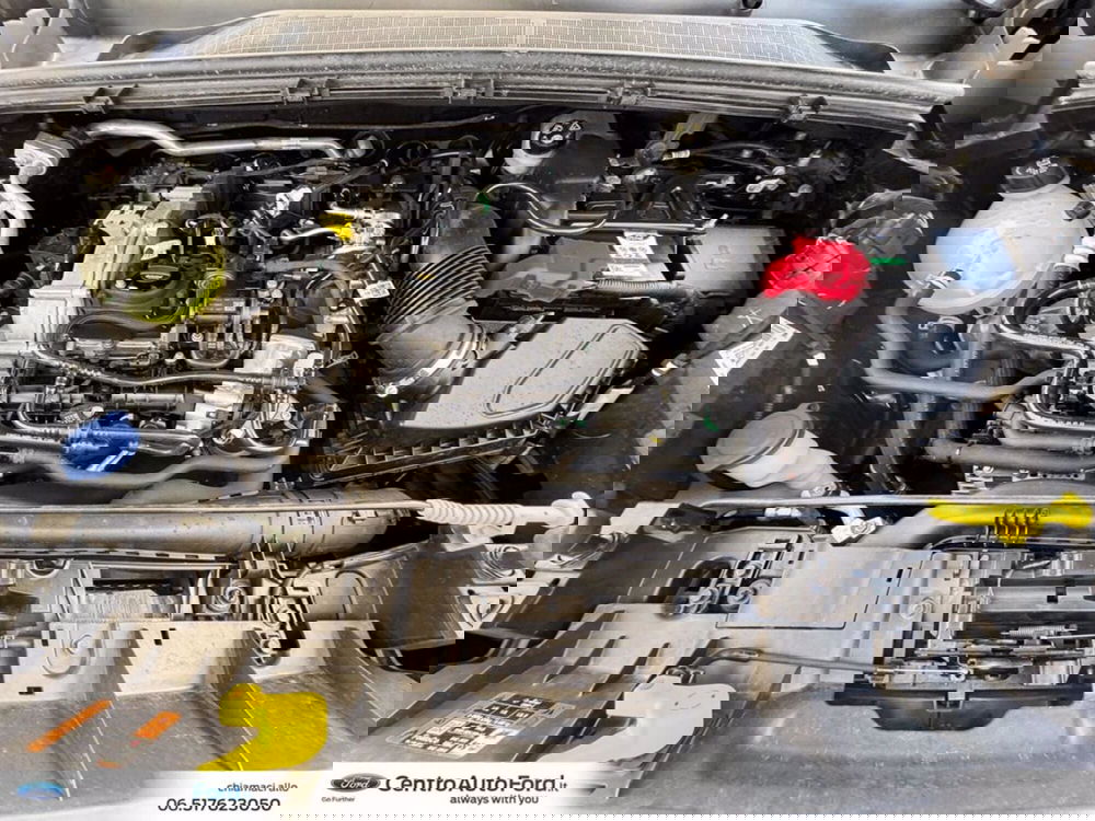 Ford Puma usata a Roma (12)