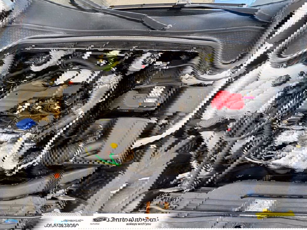 Ford Focus Station Wagon usata a Roma (12)