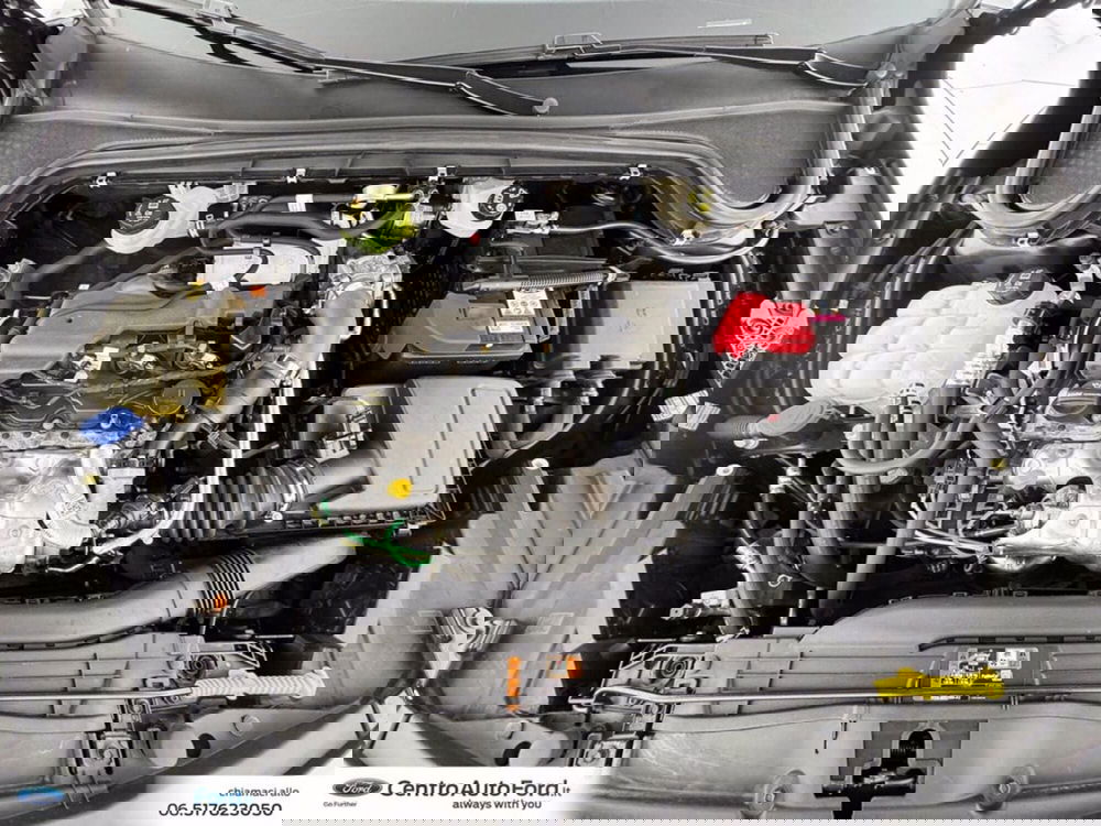 Ford Focus usata a Roma (12)