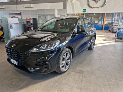Ford Kuga 1.5 EcoBoost 150 CV 2WD ST-Line del 2023 usata a Imola
