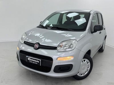 Fiat Panda 1.2 Easy del 2017 usata a Lurate Caccivio