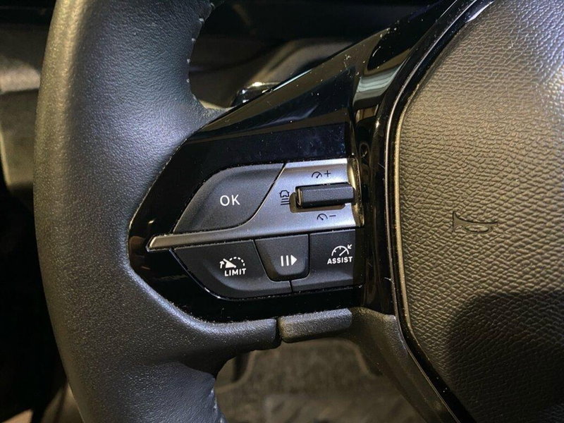 Peugeot 308 SW usata a Torino (12)