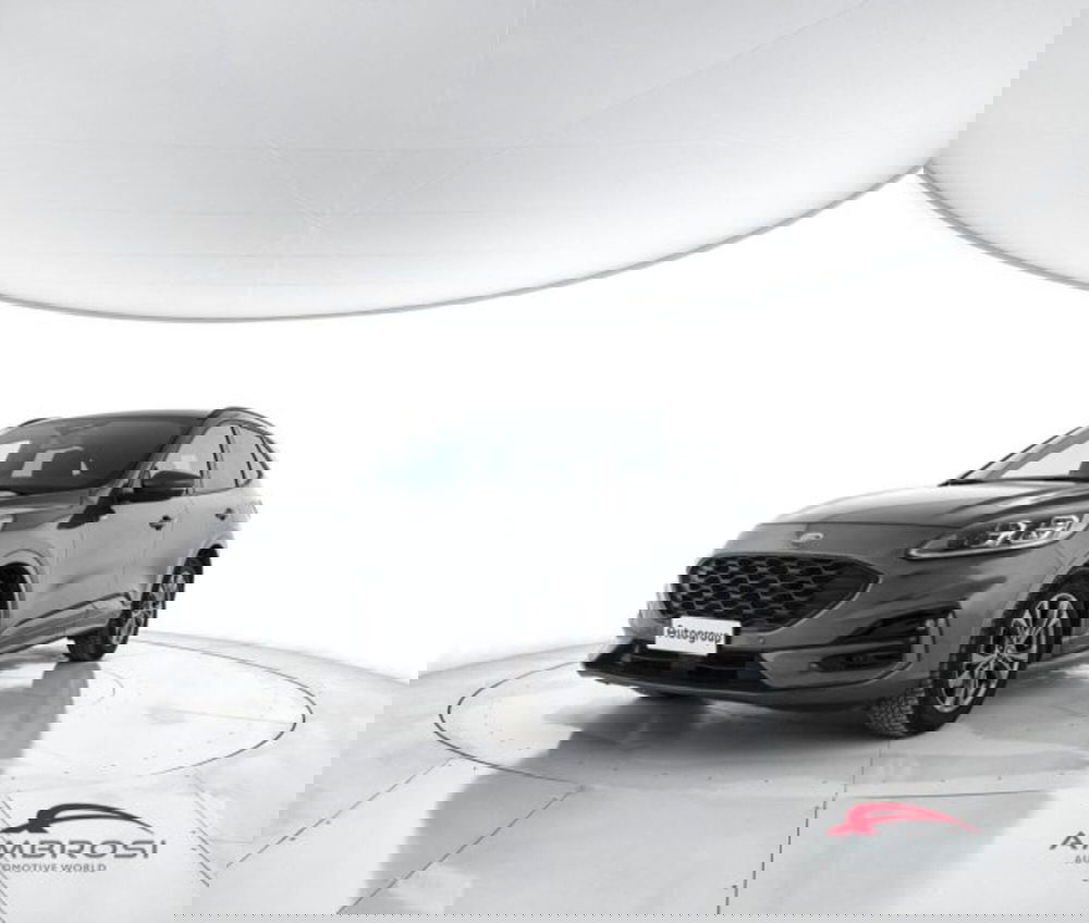 Ford Kuga usata a Perugia