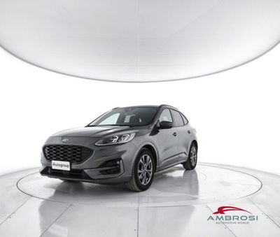 Ford Kuga 2.0 EcoBlue 120 CV aut. 2WD ST-L. X Design del 2023 usata a Corciano