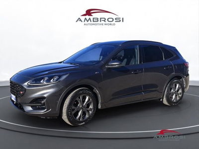 Ford Kuga 1.5 EcoBoost 150 CV 2WD ST-Line del 2020 usata a Corciano