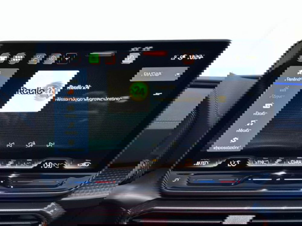 Cupra Formentor usata a Vicenza (16)