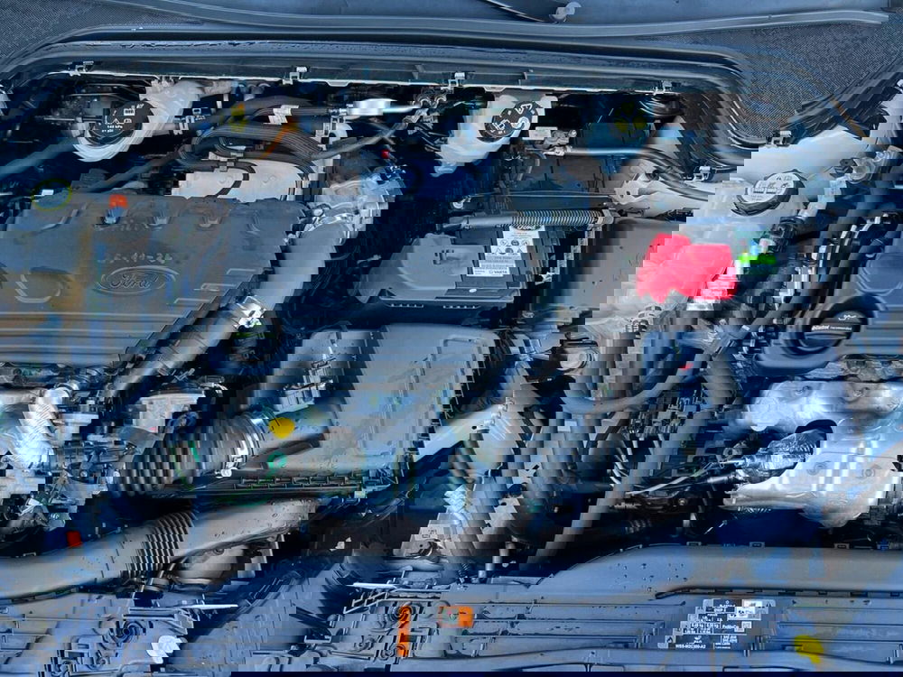 Ford Focus usata a Sondrio (17)