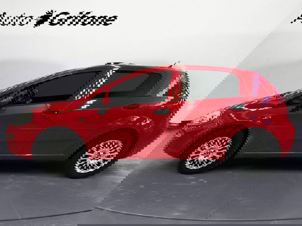 Fiat Punto usata a Modena (2)