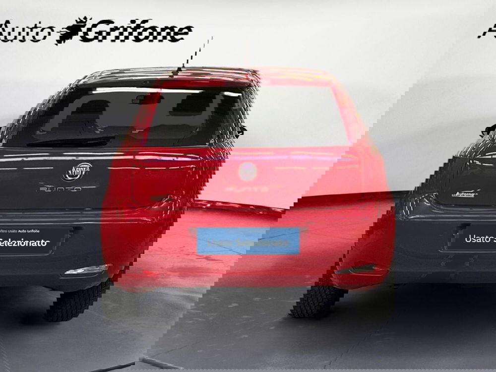 Fiat Punto usata a Modena (4)