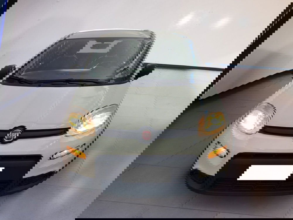 Fiat Panda usata a Torino