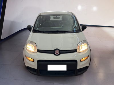 Fiat Panda 1.0 firefly hybrid s&amp;s 70cv 5p.ti del 2022 usata a Torino