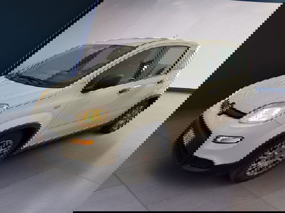 Fiat Panda usata a Torino (2)