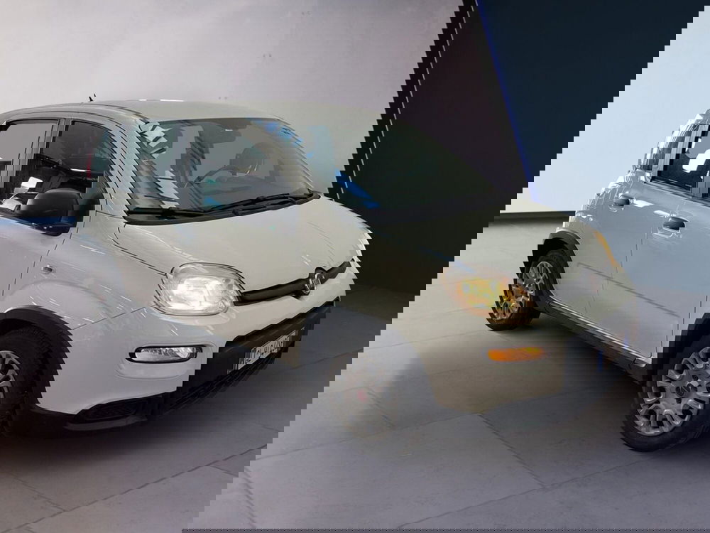 Fiat Panda usata a Torino (3)