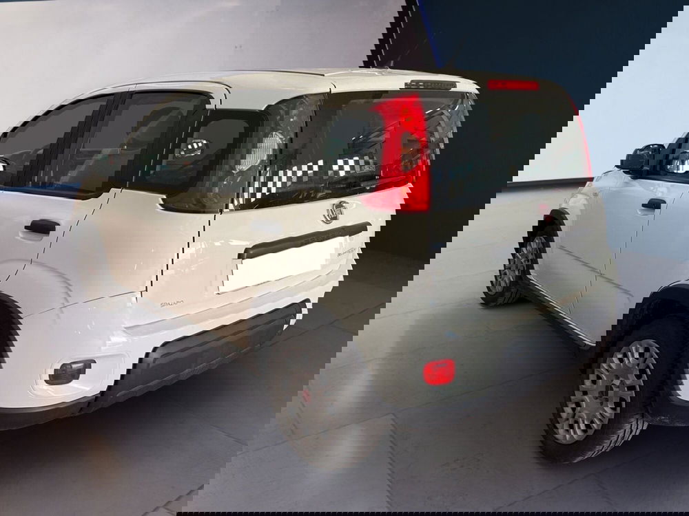 Fiat Panda usata a Torino (6)