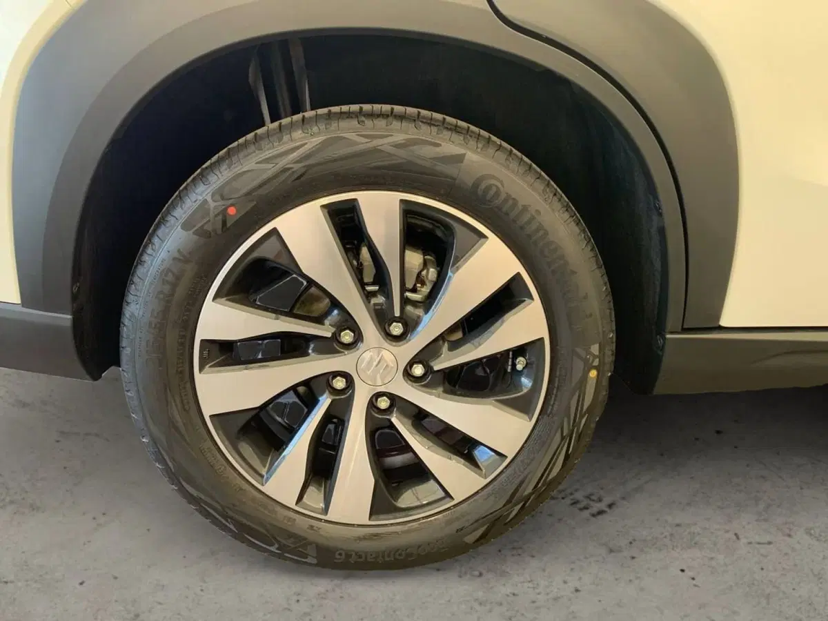 Suzuki S-Cross nuova a Pistoia (12)