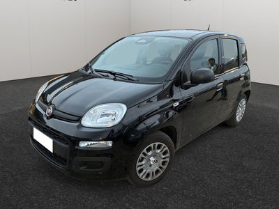 Fiat Pandina 1.0 firefly hybrid s&amp;s 70cv del 2025 usata a Montesilvano