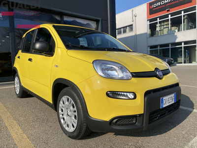 Fiat Pandina 1.0 firefly hybrid Icon s&amp;s 65cv nuova a Mirandola