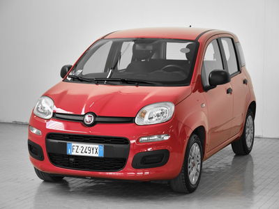 Fiat Panda 1.2 Easy del 2020 usata a Prato