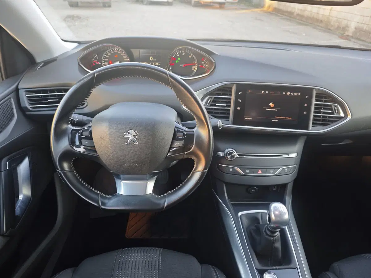 Peugeot 308 SW usata a Parma (10)