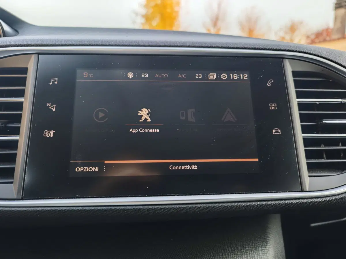 Peugeot 308 SW usata a Parma (15)