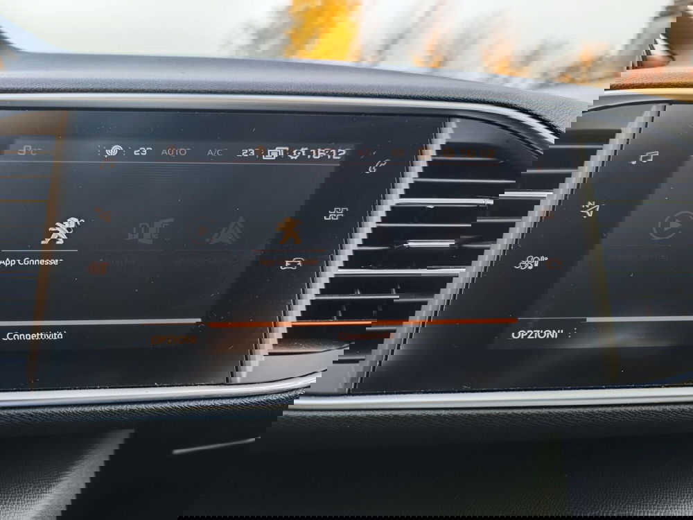 Peugeot 308 SW usata a Parma (15)