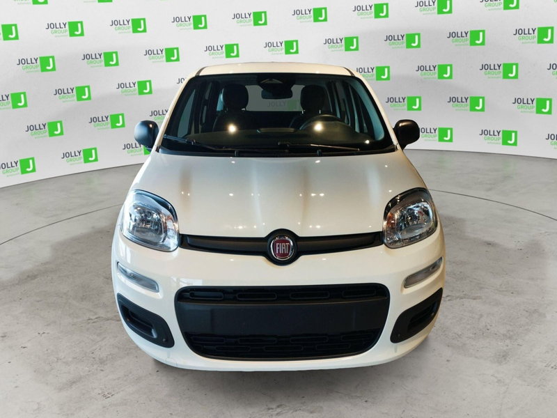 Fiat Panda nuova a Frosinone