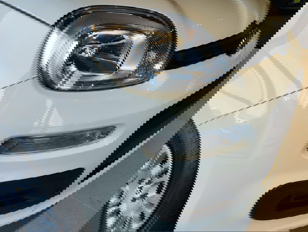 Fiat Panda nuova a Frosinone (14)