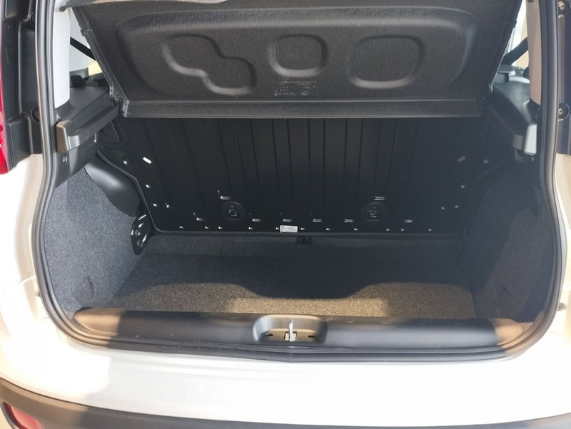 Fiat Panda nuova a Frosinone (15)