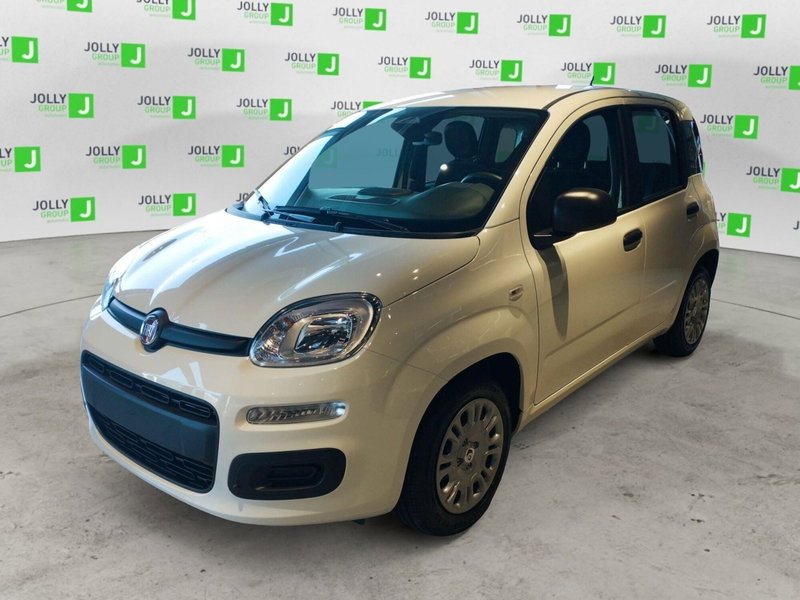 Fiat Panda nuova a Frosinone (2)