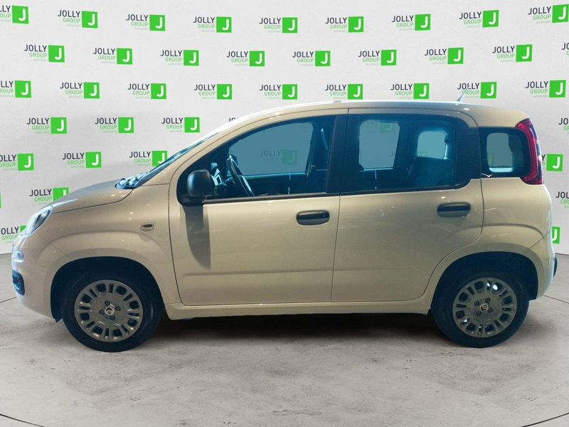 Fiat Panda nuova a Frosinone (3)
